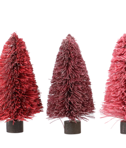5183 TREE FRILL S/6